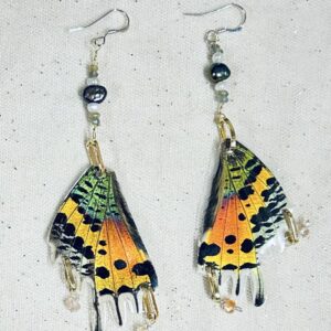 Butterfly wing earrings